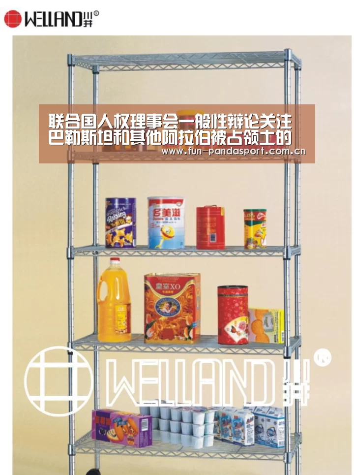 联合国人权理事会一般性辩论关注巴勒斯坦和其他阿拉伯被占领土的人权状况-熊猫体育官网(图1) 熊猫体育app