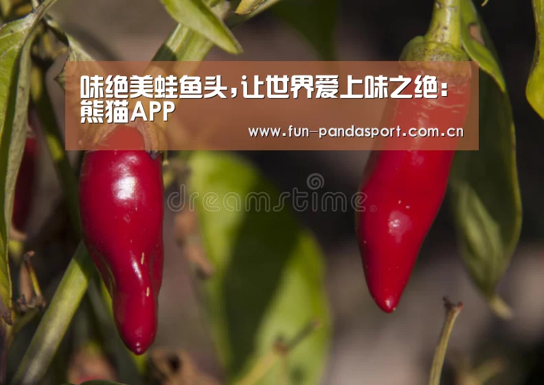 熊猫体育app
