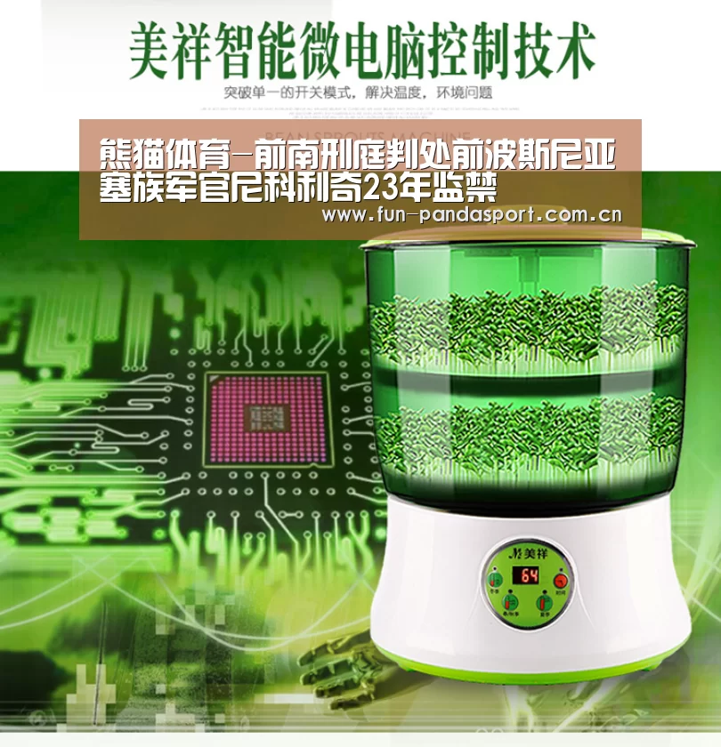 熊猫体育-前南刑庭判处前波斯尼亚塞族军官尼科利奇23年监禁(图2) 熊猫体育