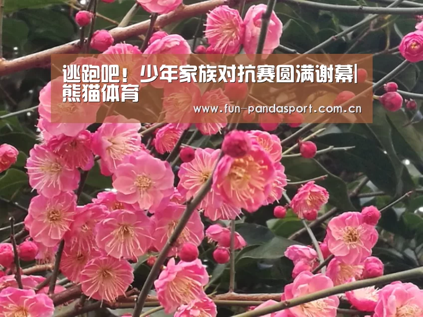 熊猫体育app